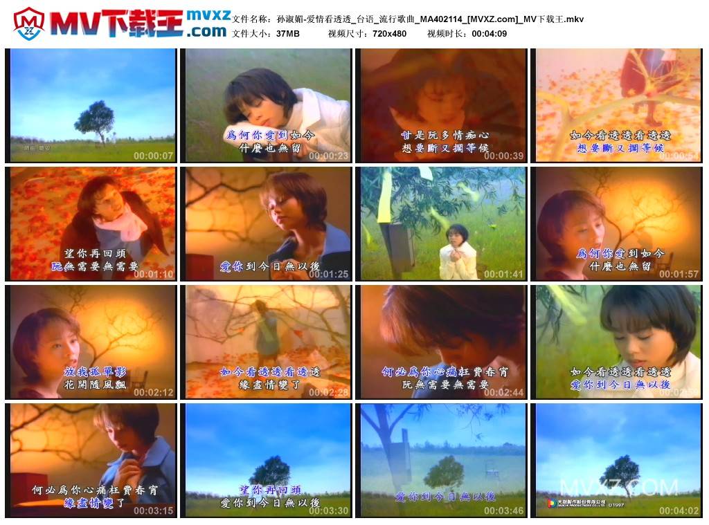 孙淑媚-爱情看透透_台语_流行歌曲_MA402114